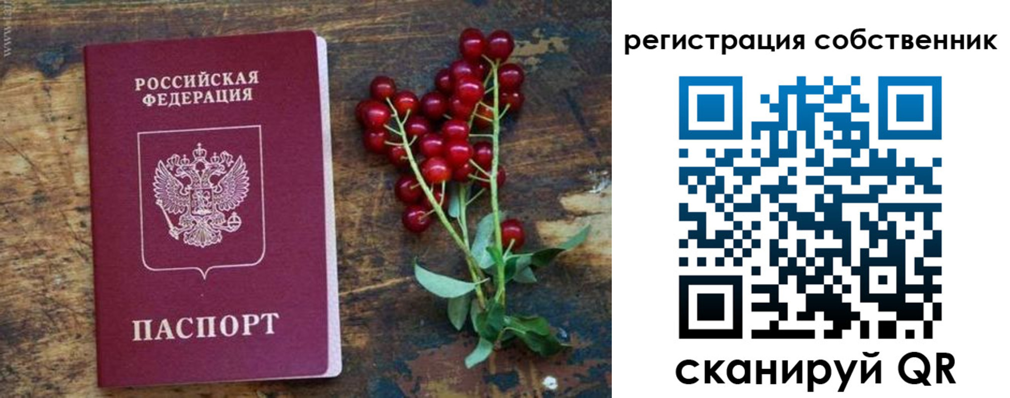 регистрация для дет. сада в Зуевке